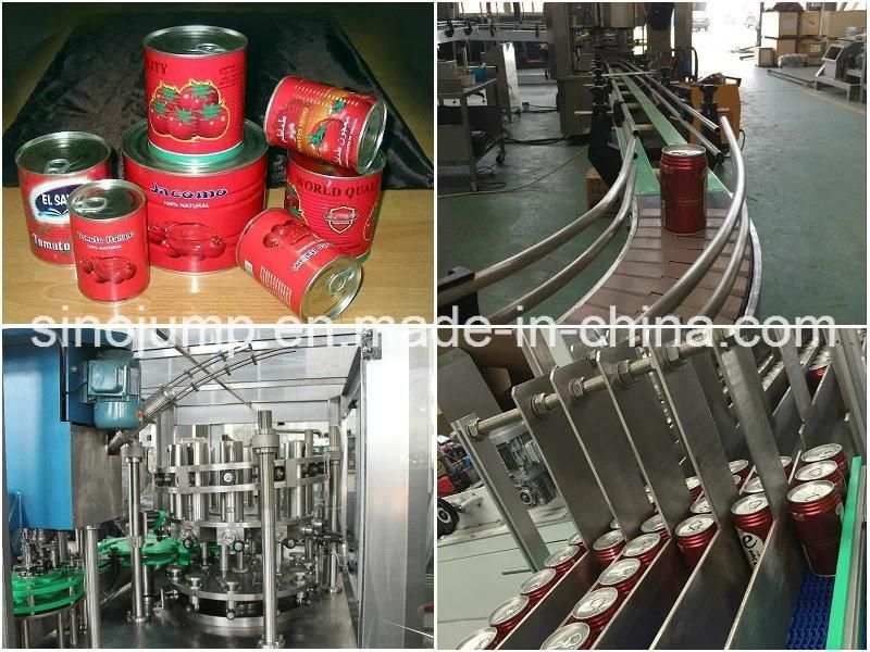 One-Stop Industrial Tomato Paste Processing Solution