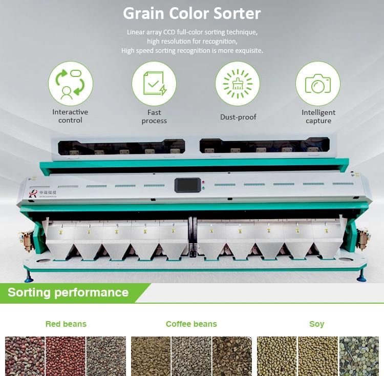 Black Kidney Beans Color Sorter