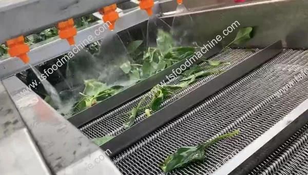 Vegetables Dryer Leafy Vegetable Washing and Drying Machine