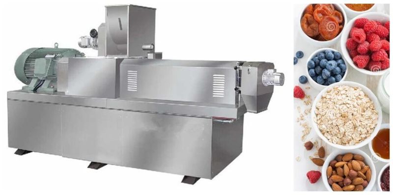 Stainless Steel Fried Corn Snacks Food Machine