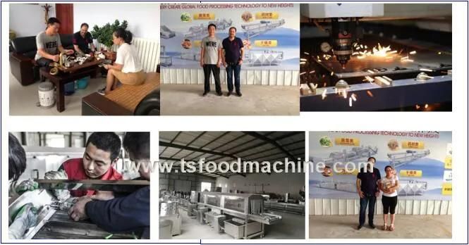 Food Seasoning and Mixer Machine or Equipment