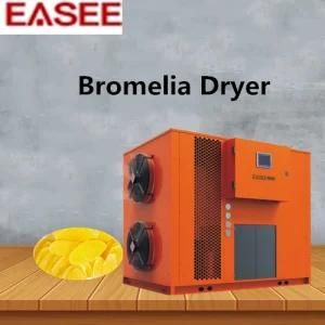 Fruit Drying Machine/Full-Automatic Food Cutting Machine/Bromelia Dryer