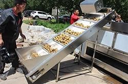 Full Automatic Potato Chips French Fries Machine Price