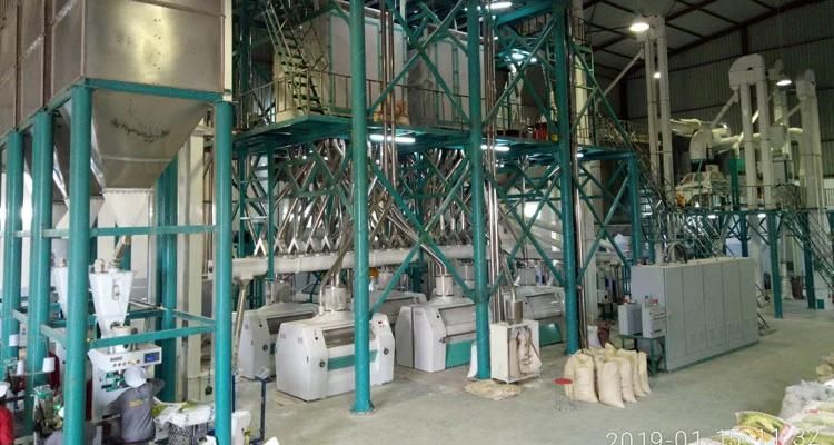 More Professional Maize Milling Machines Running in Mozambique Zimbabwe Kenya