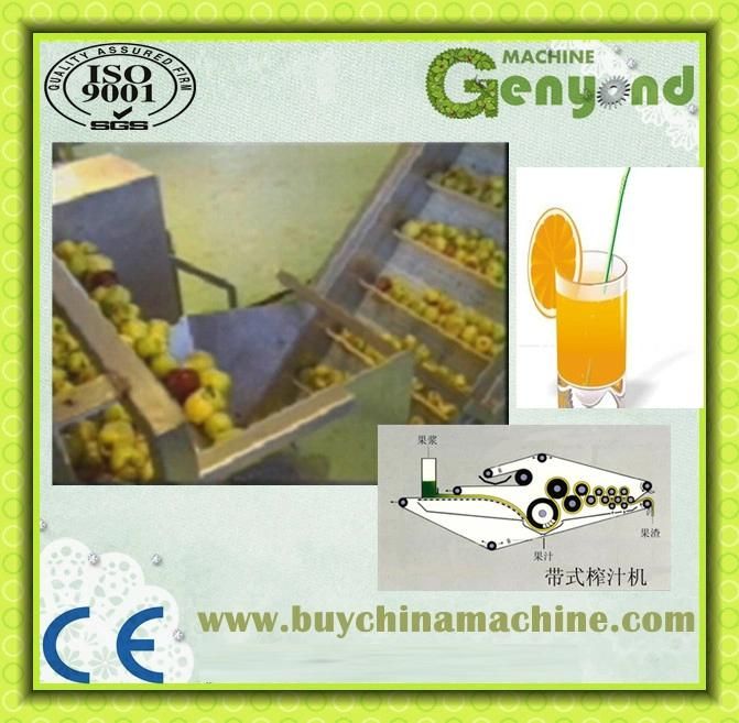Shanghai Full Aotumatic Mango Juice Processing Machine