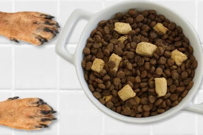 Vacuum Freeze Dryer Machine Pet Food Lyophilizer Machine