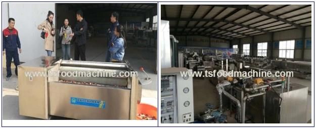 Automatic Cucumber Blanching Machine and Vegetable Blanching Machine