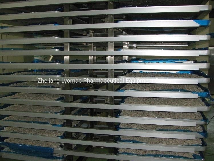 Scale Freeze Dryer for Food Meat and Fruits