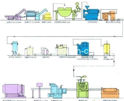 Shanghai Complete Mango Juice Processing Line