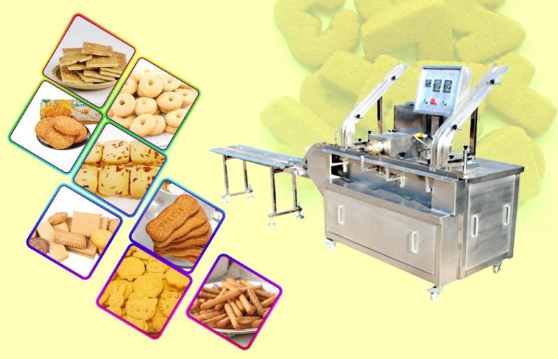 Industrial Biscuit Making Machine Soft and Hard Biscuit Machine Small Biscuit Production Line