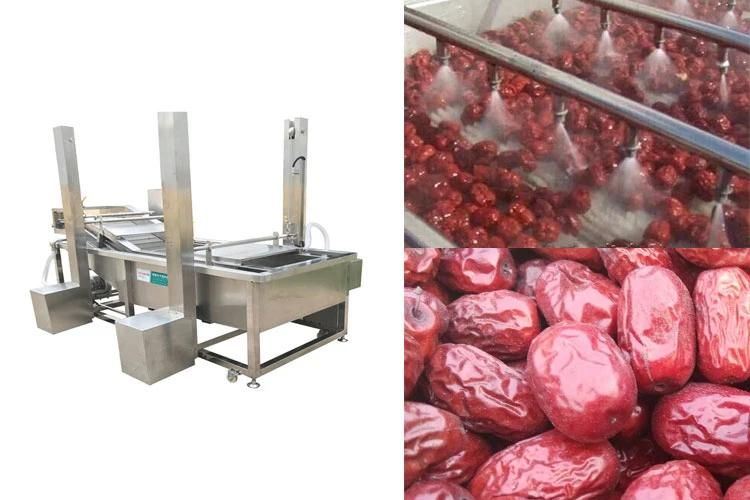 Continuous Antomatic High Pressure Dates Washing Machine Conveyor Belt Washer