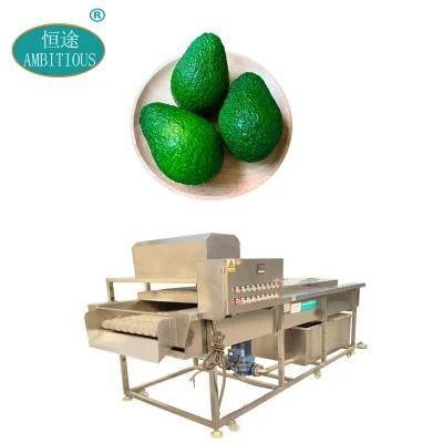 Fruits Food Cleaning Brush Washing Machine Continuous Avocado Washer