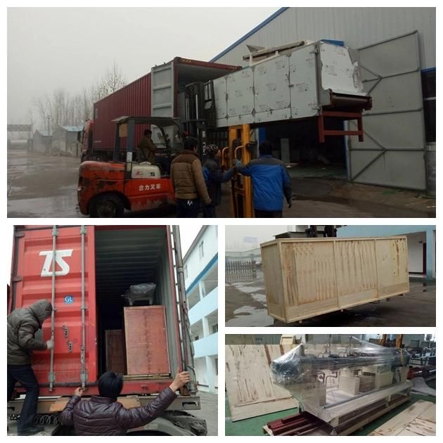 Farm Aquarium Animal Fish Food Feed Pellet Machine Processing Line