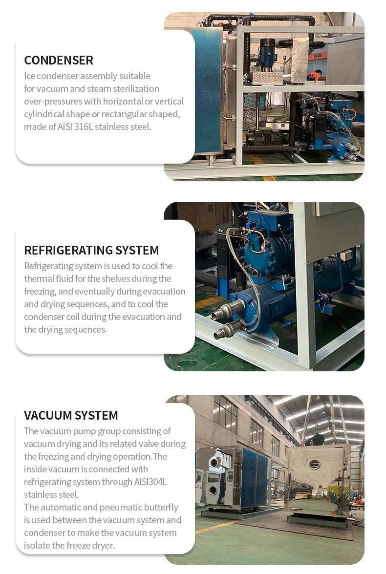 500kg Vacuum Freeze Dryer Meat Freeze Drying Machine Lyophilizer for Food Processing Line