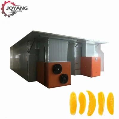 Industrial Mangifera Indica Heat Pump Dryer Drying Machine Manufacturer
