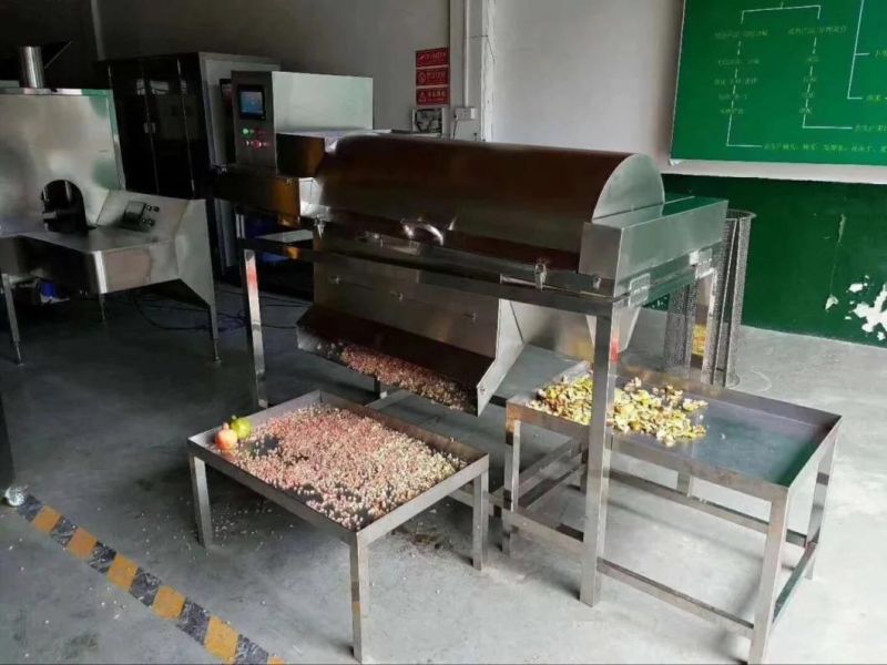 Shanghai Genyond Pomegranate Seeds Separating Machine