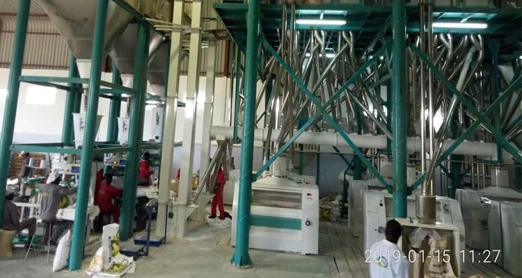Complete Flour Mill Machine Wheat Flour Mill Plant