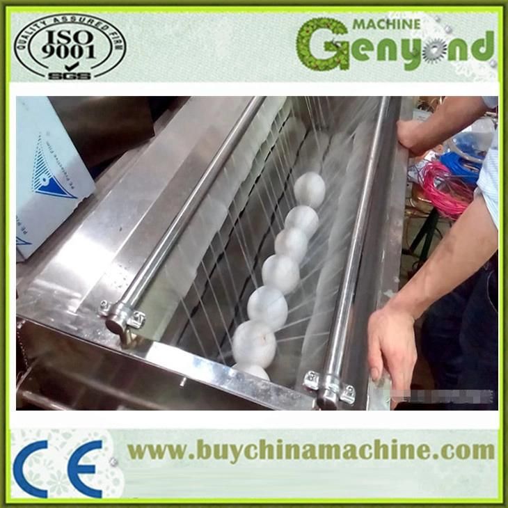 Stainless Steel Automatic Coconut Milk Squeezer