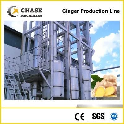 Full-Automation Glass Bottled Tomato Ketchup Processing Line