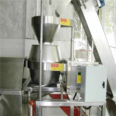 Automatic Fresh Potato Chip Cutting Machine