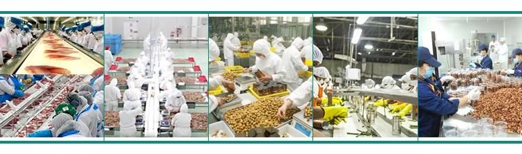 High Quality Freeze Dryer Fruits Machinedry Strawberry Vacuum Lyophilizer