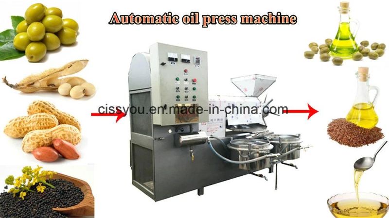 Vegetable Fruit Seeds Screw Oil Mill Press Machine (WS6YL)