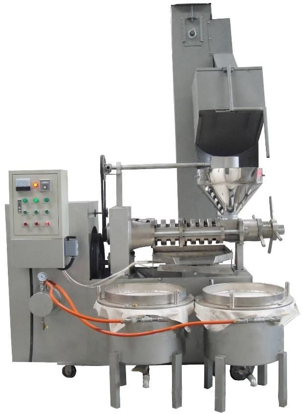 Chengli Machinery Black Seeds Oil Press Machine Olive Oil Pressing Machine for Sale