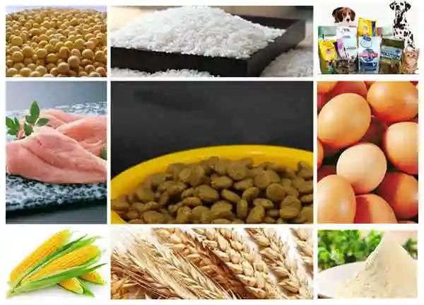 Customized OEM Dry Type Animal Feed Extruders