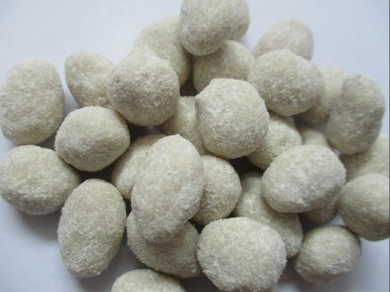 Automatic Peanut Coating Processing Line