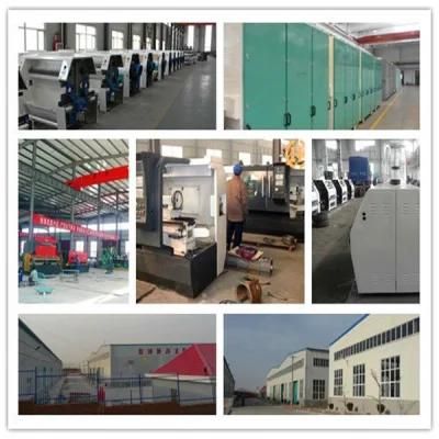 China Factory 50t Maize Processing Machine for Maize Flour
