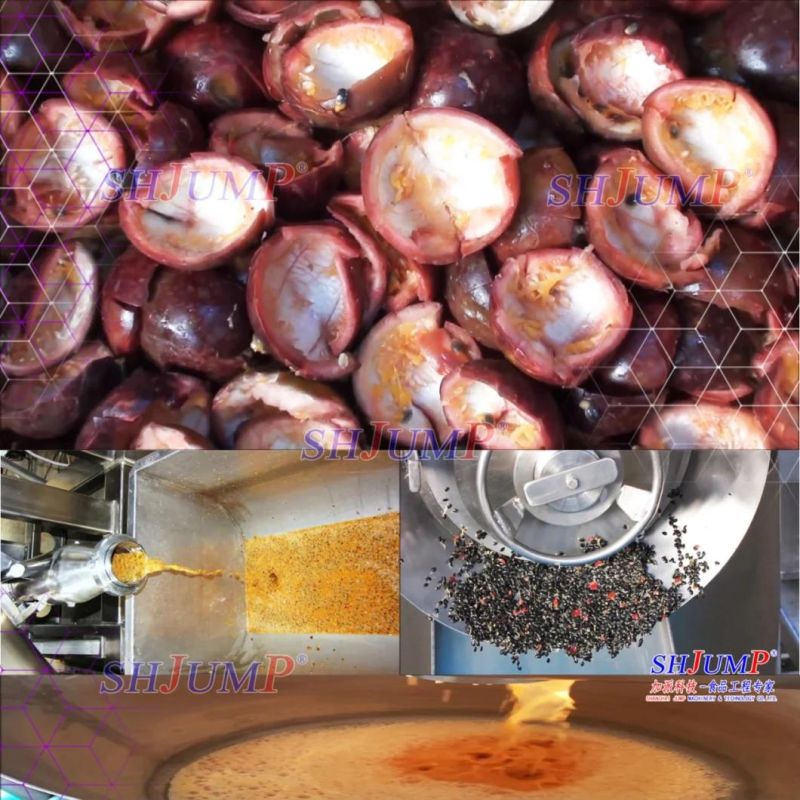 PLC Control Passionfruit Puree Production Machine