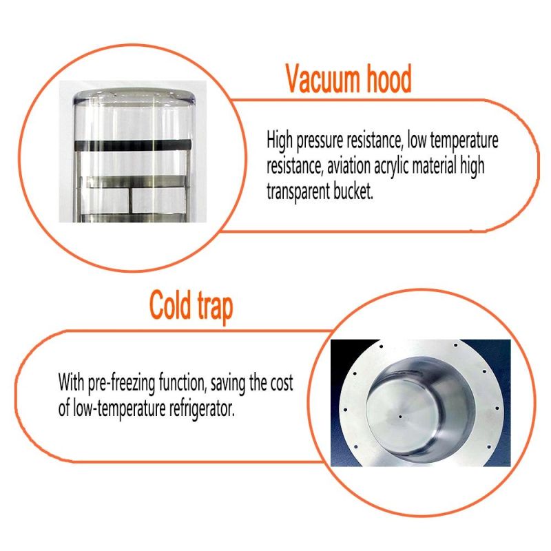 Carbon Steel Ytlg-12A Vertical Freeze Dryer Drying Machine Fruit Dryer Food Freeze Dryers