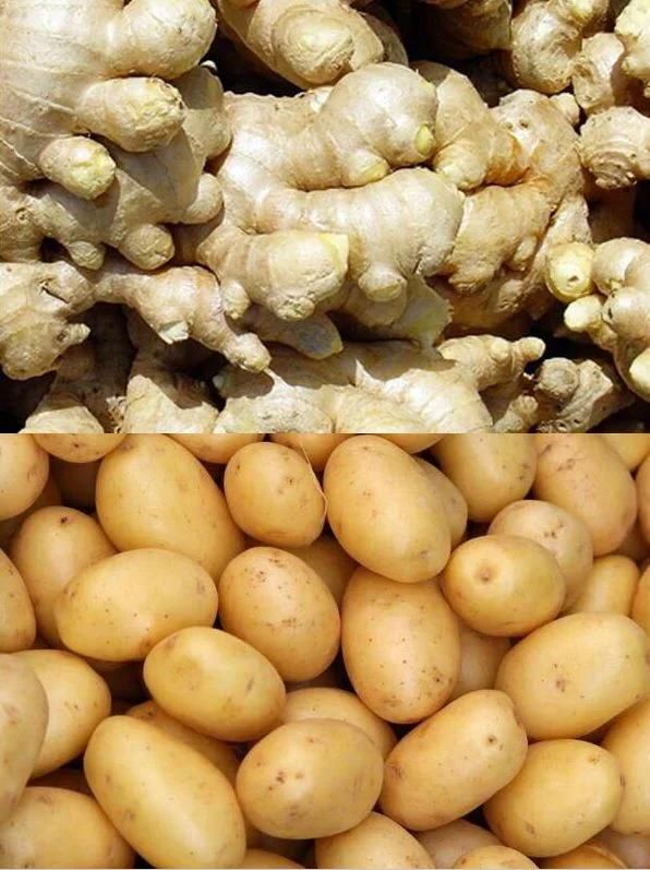 Vegetable Processing Machinery Ginger Carrot Potato Peeler Washing Machine