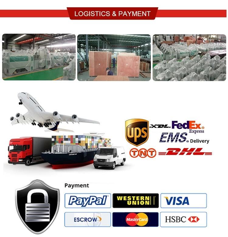 Clj Hot Sale Paddy Suction Destoner Rice Destoner Rice Mill Machine Rice Processing Machine