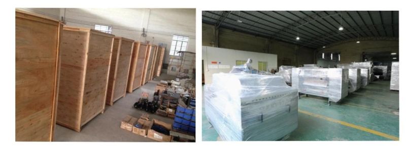 Soft Cookie Machine Biscuit Making Machine Cookies Production Line