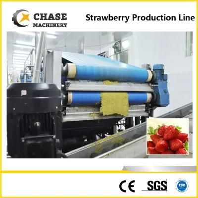 Pet/ Glass Bottle Orange/ Mango Juice Production Line