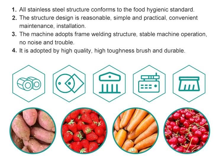 Leafy Vegetable Fruit Lettuce Cabbage Bubble Washing Washer Cleaning Machine