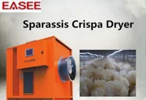 Agricultural Product Machine Dried Food Heater for Sparassis Crispa Dryer
