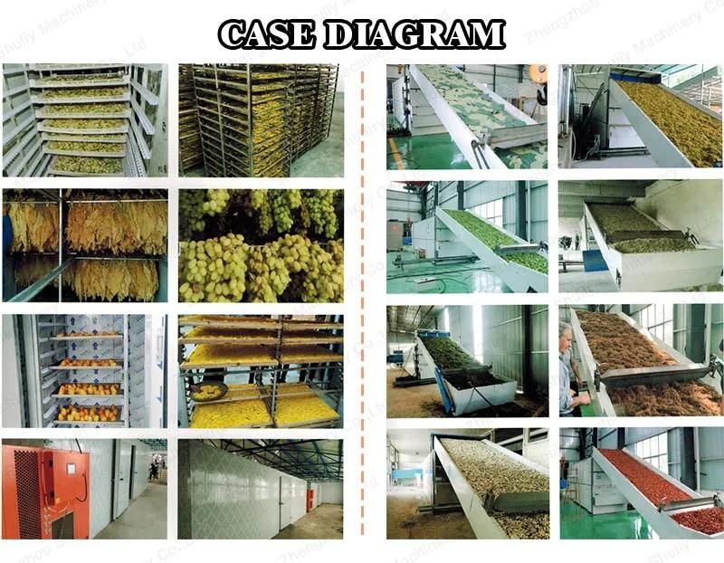 Heat Pump Hot Air Fruits and Vegetables Dry Oven Food Dryer Machine