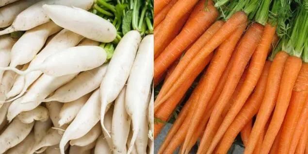 Root Vegetable Washing Machine