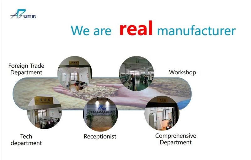 High Capacity Cleaning Equipment Raisin Processing Color Sorter Machine