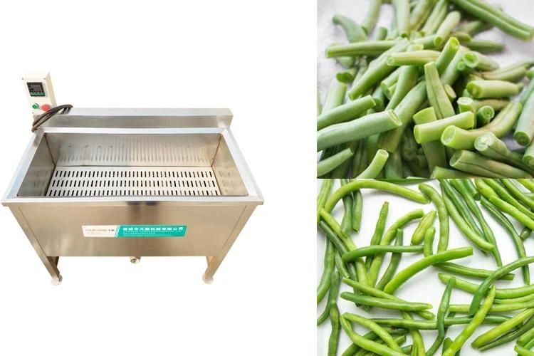 Small Single Tank Blancher Vegetable Bean Blanching Machine