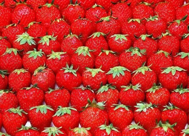 Water Jet Okra Bubble Washing Machinery Strawberry Bubble Washing Machine