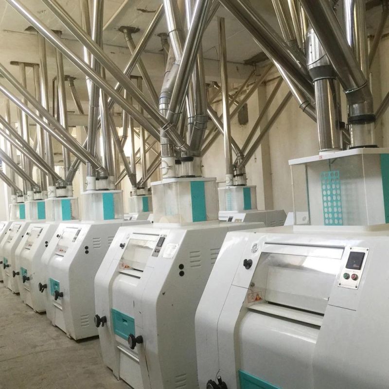 The Price of 200t Designed Wheat Flour Milling Machines Easy Operation with Advanced Technology for Africa