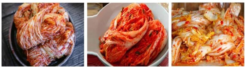 50kg Tumbler Mixer Seasoning Kimchi Mixing Machine