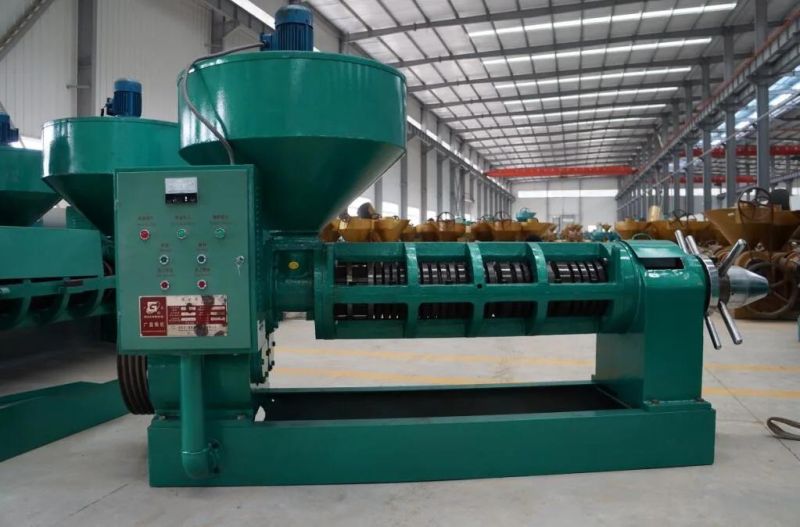 Large Type Peanut Rapseed Sesame Oil Extractor