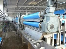 Pumpkin Processing Line Squash Production Machines
