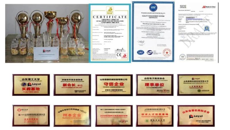 Commercial Automatic Biscuit Machine Small Soft and Hard Biscuits Production Line