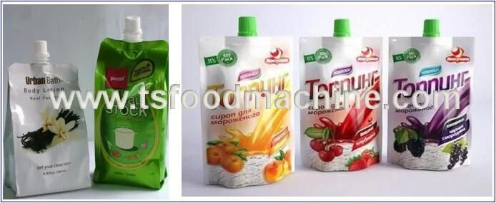 Bags Food and Fruit Sauce Spray Sterilization Equipment