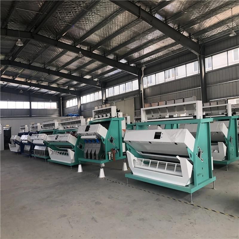 High Performance Agricultural Chili Seed Color Sorter Machine Manufacturer